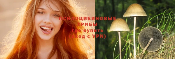крисы Елизово