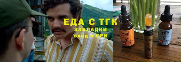 индика Елабуга