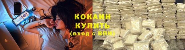 крисы Елизово