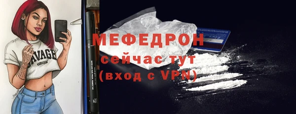 индика Елабуга