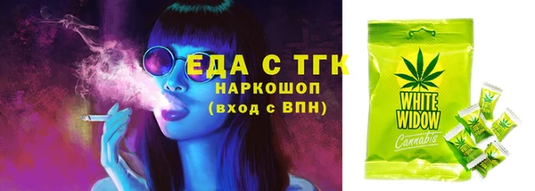 индика Елабуга