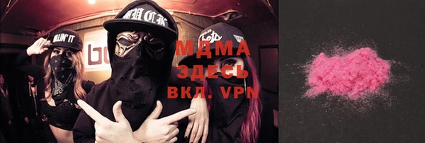 индика Елабуга