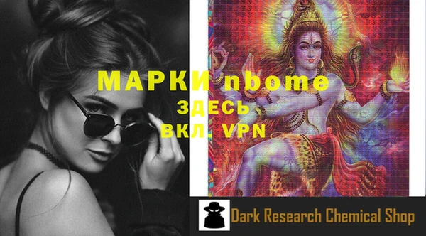 индика Елабуга