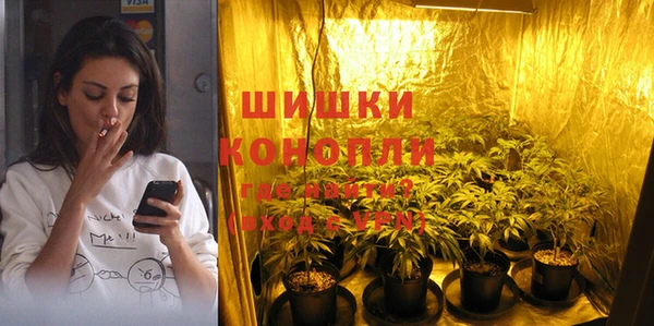 крисы Елизово