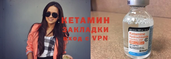 индика Елабуга
