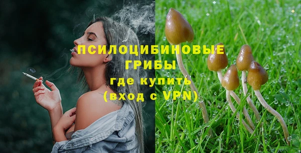 крисы Елизово