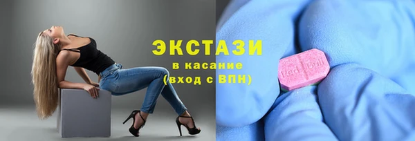 индика Елабуга
