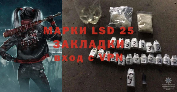 индика Елабуга