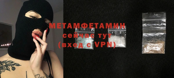 индика Елабуга