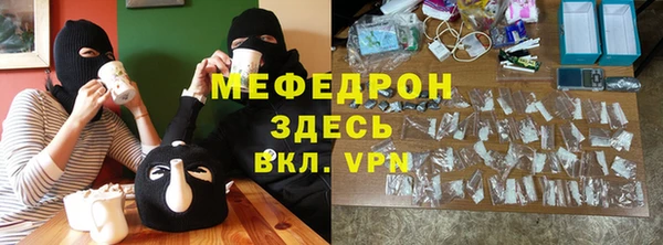 индика Елабуга