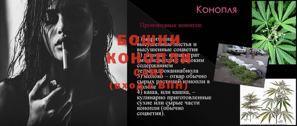 крисы Елизово