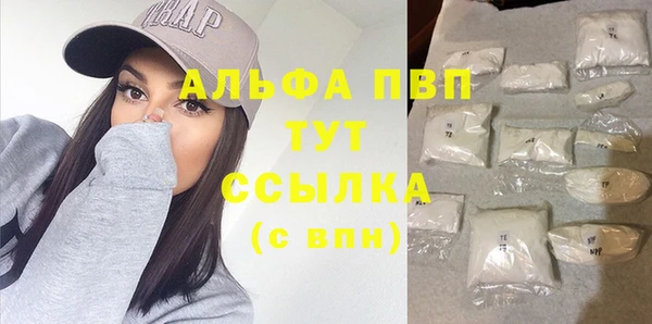 индика Елабуга