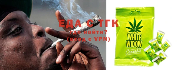 индика Елабуга