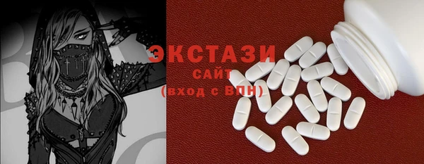 индика Елабуга