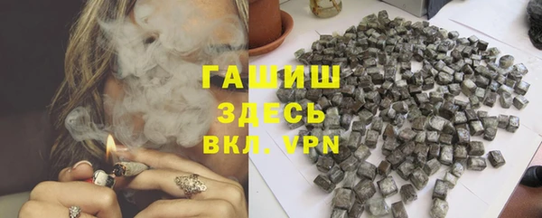 индика Елабуга