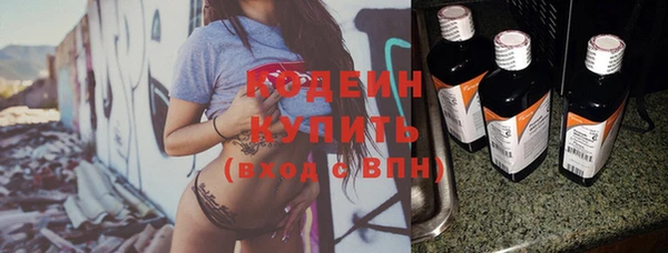 индика Елабуга