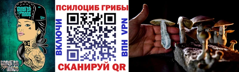 Купить закладки  Калачинск  Псилоцибиновые грибы GOLDEN TEACHER 